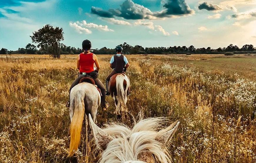 Horse Riding - 1